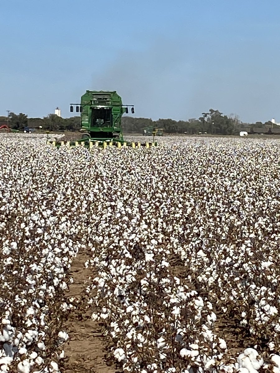 Justin Campbell tweet media