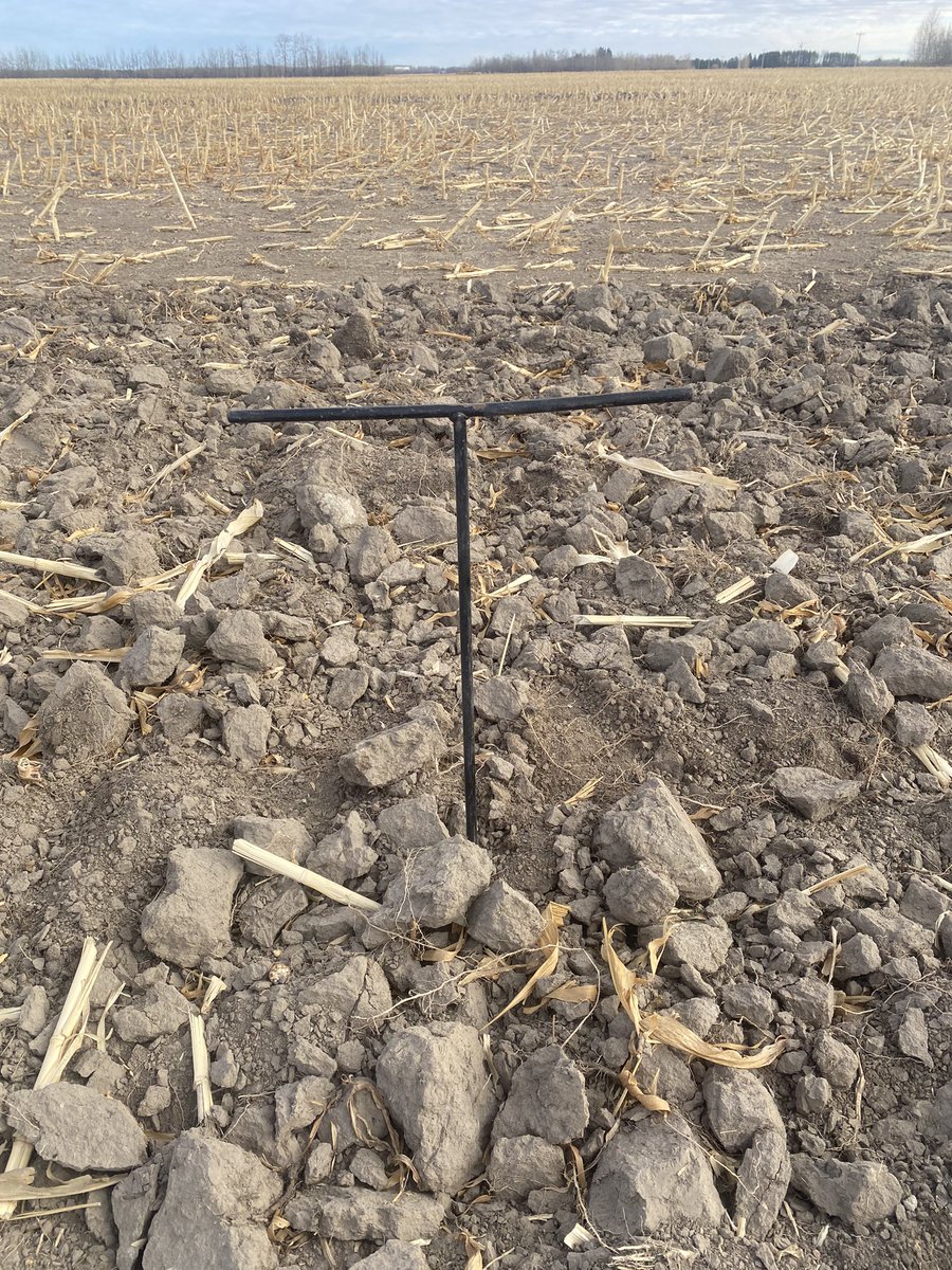 Solid Ground (@SolidGroundLtd) / Posts / X