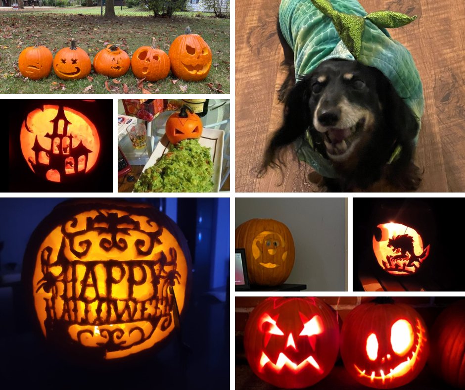 Red Paper Plane tweet media