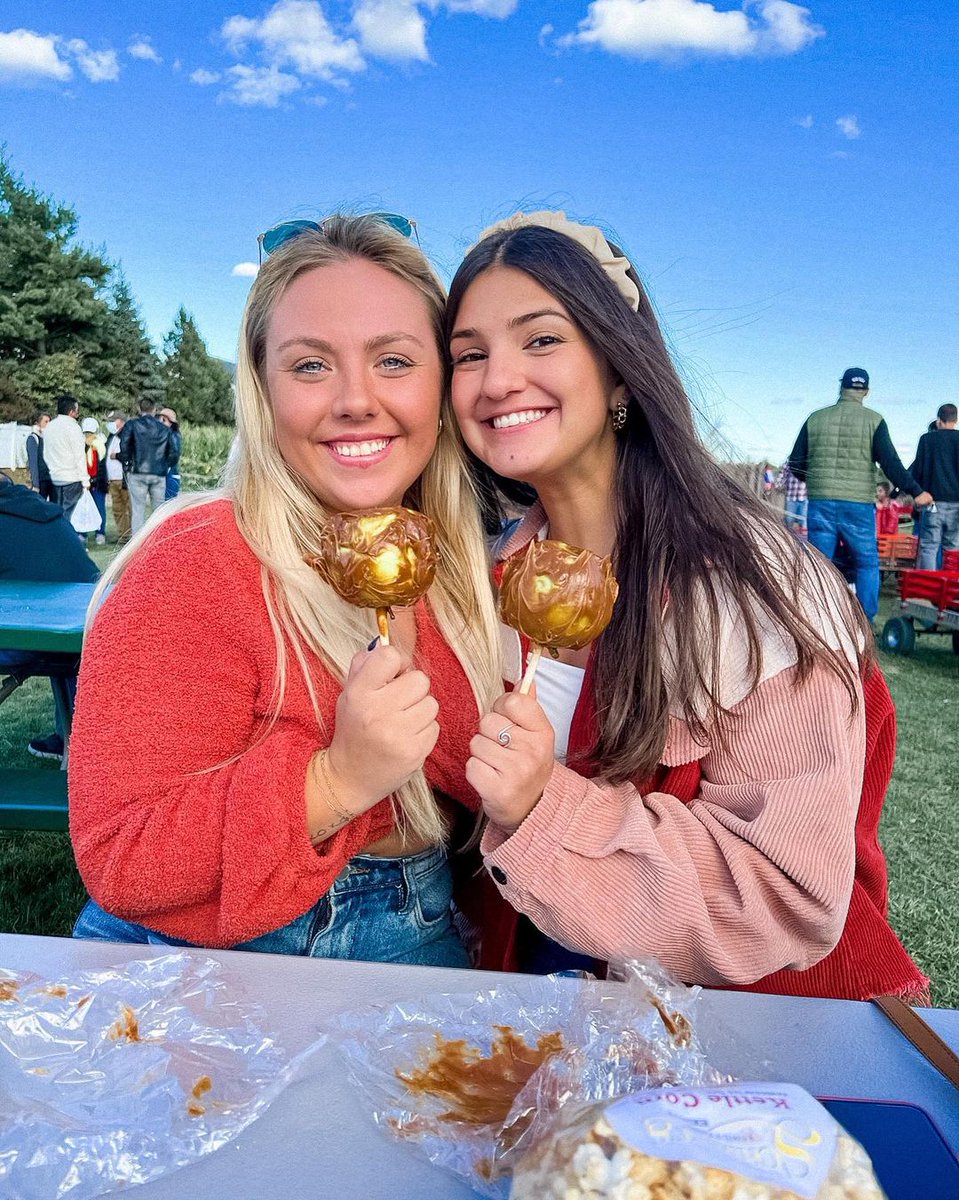 Alpha Phi tweet media