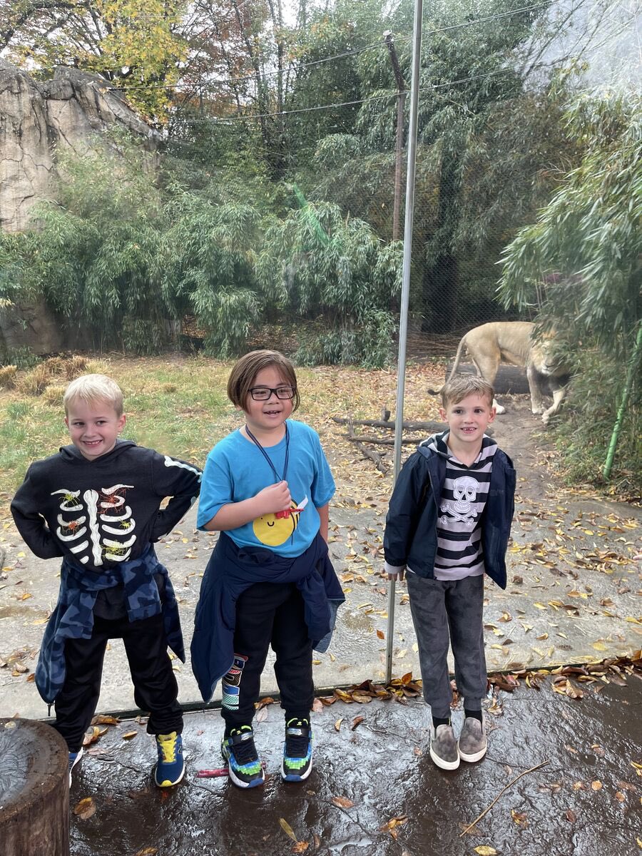 Sarah Foltz Janzen, NBCT tweet media