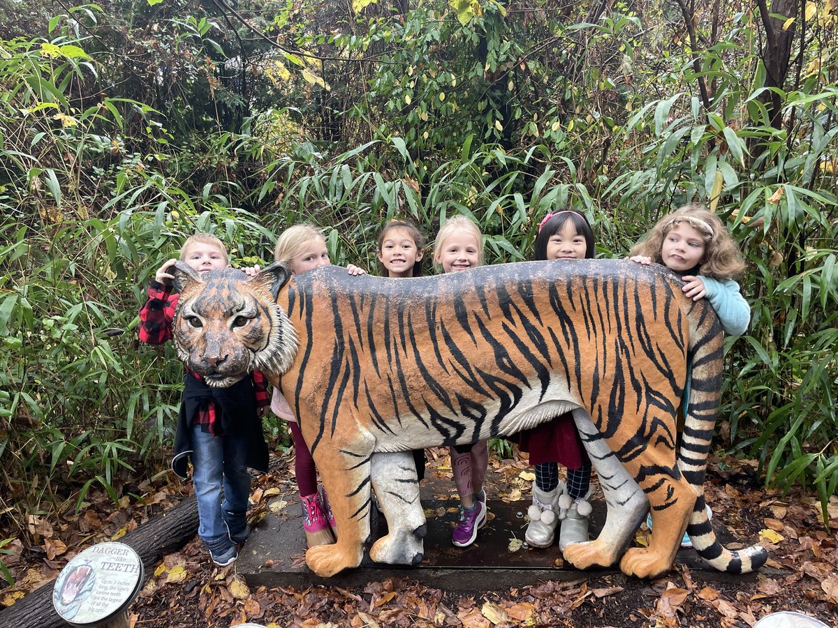 Sarah Foltz Janzen, NBCT tweet media