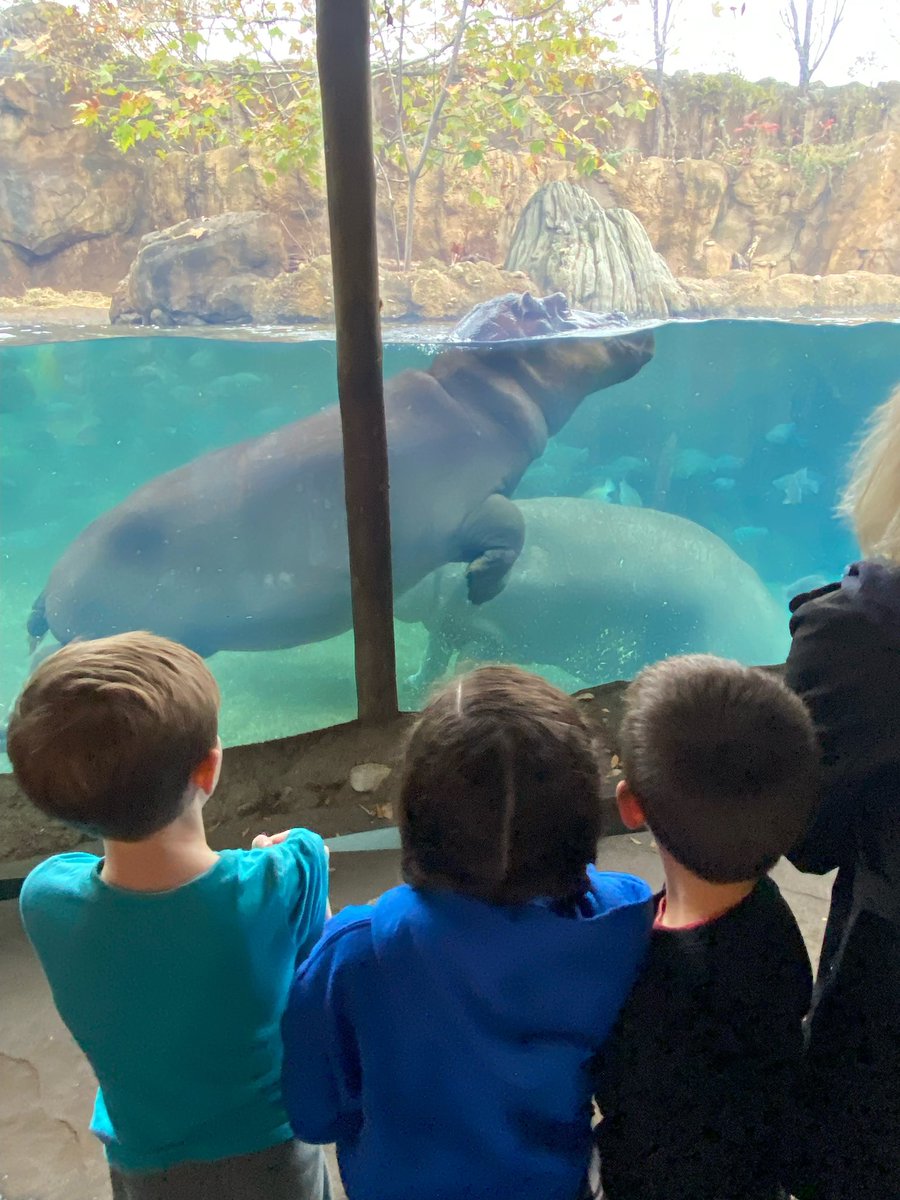 Sarah Foltz Janzen, NBCT tweet media