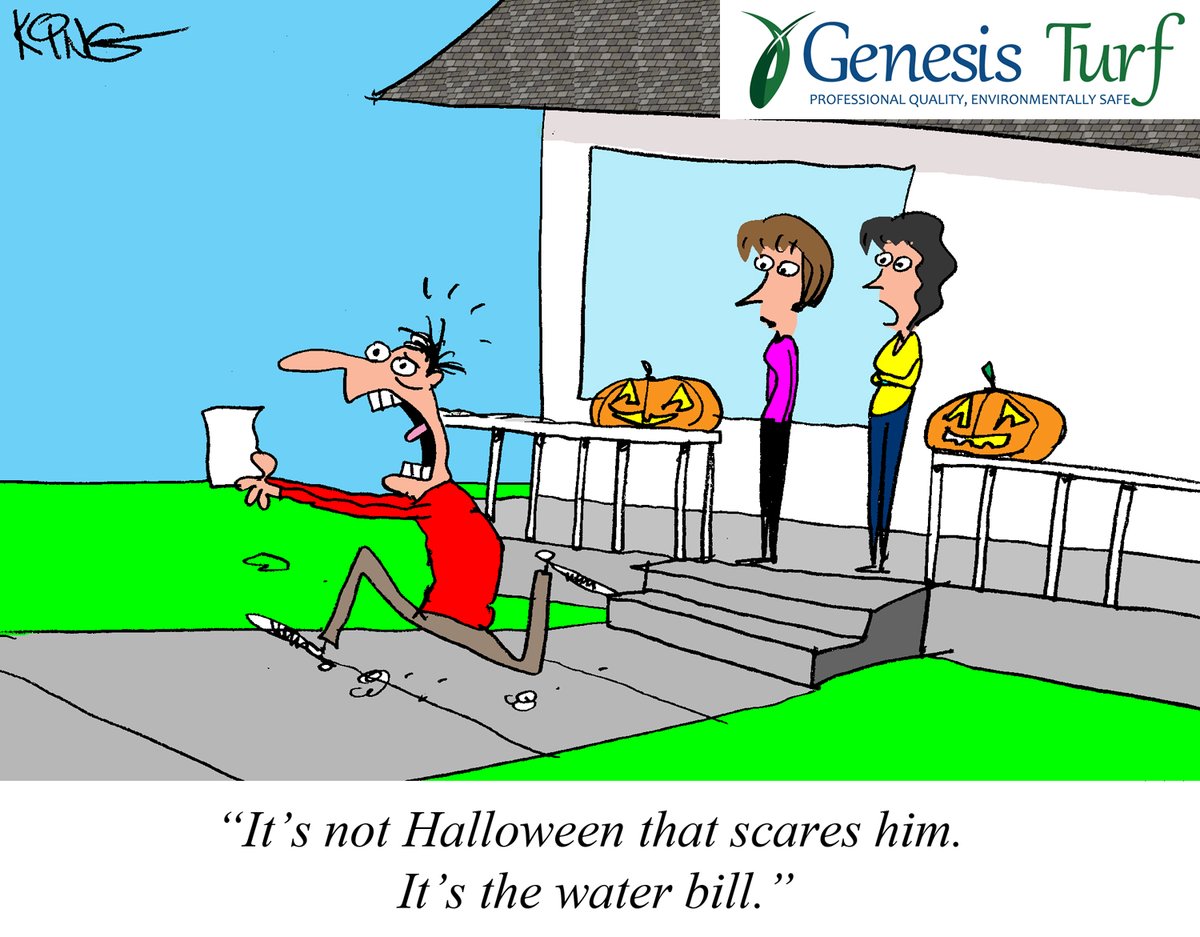 Genesis_Turf's tweet photo. Happy Halloween from #GenesisTurf !
#ArtificialTurf #ArtificialGrass #ArtificialPetTurf #SyntheticGrass #SyntheticTurf #Turf #Halloween #halloween2022 https://t.co/K3RjIdrnvZ