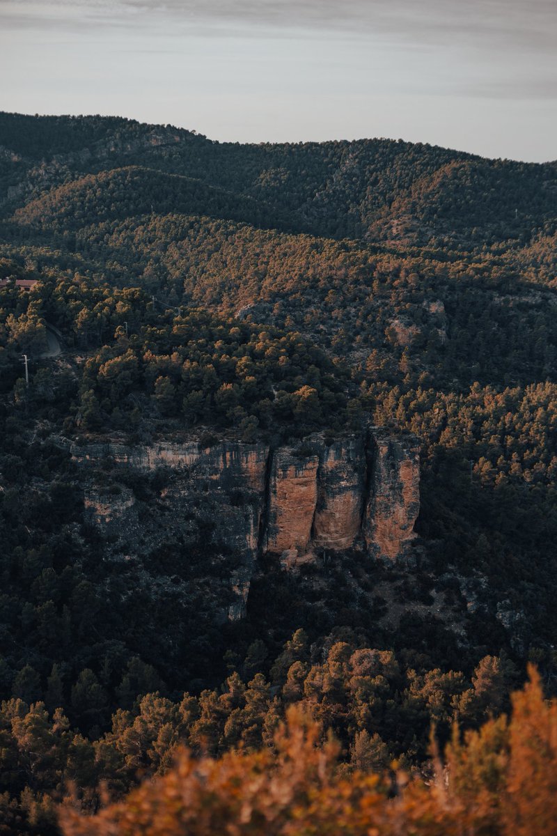 saddestkyabetsu's tweet photo. ⛰️🌿 https://t.co/JLdWb2unaq