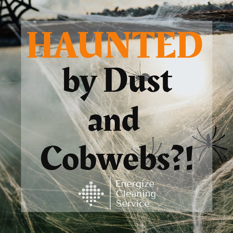 The Clean Idea Blog tweet media