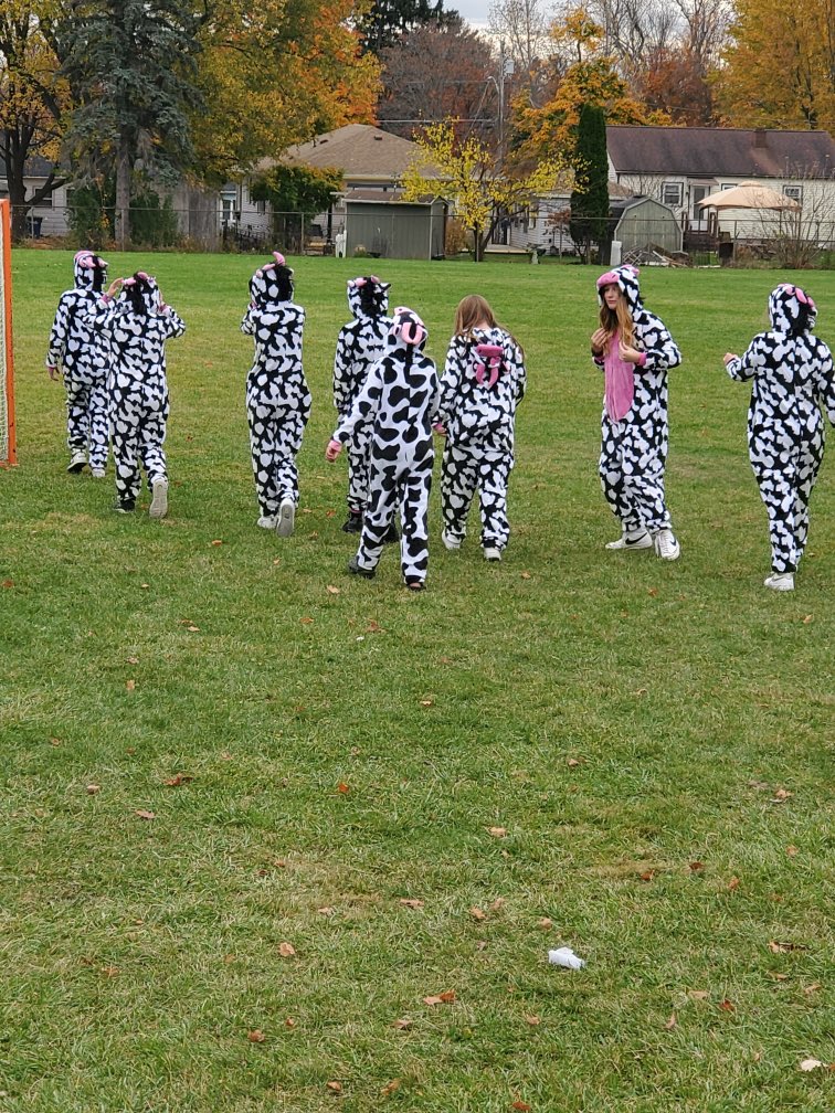 VGashlin's tweet image. A new herd moved into CMS today!  ❤️🤍❤️.  #canandaiguaproud #holidayspirit #onebravesfamily