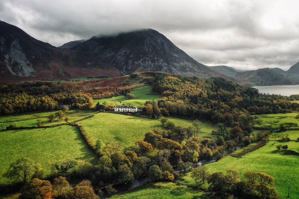 Terry Abraham tweet media