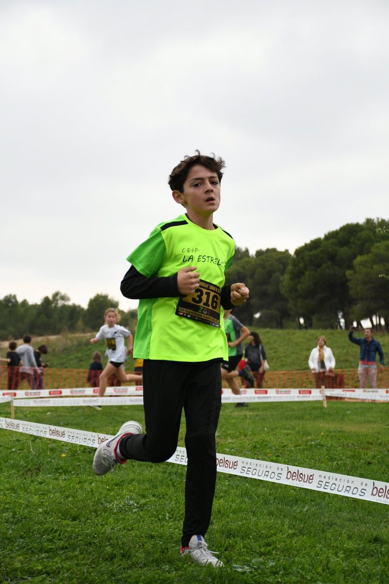 EFlaestrella tweet media