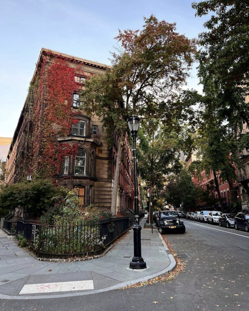 Happy Halloween from the East Village! Enjoy the autumn holiday today by strolling through the neighborhood's fall foliage 🍂 📸 : @thesweetlifeoflina (IG)