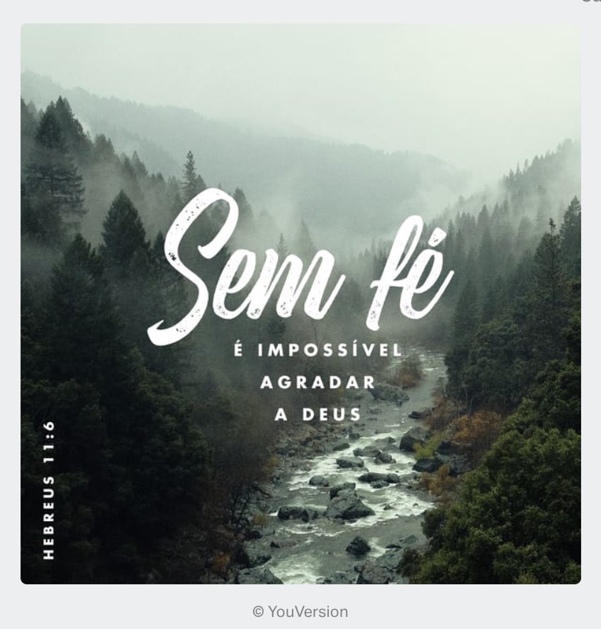 Edna Affonso Mayer #FechadoComBolsonaro #B22 🇧🇷 tweet media