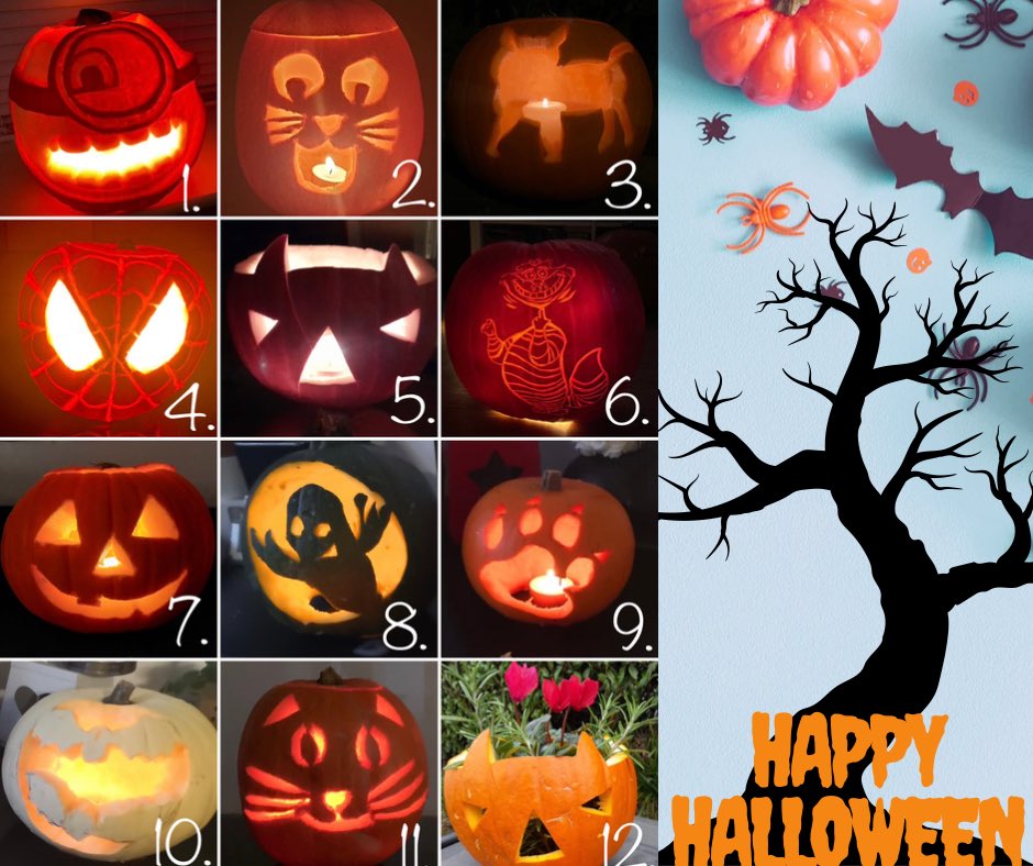 PortlandVets's tweet photo. The team have been busy carving away in their downtime over the weekend! We need your help picking the winner of the best pumpkin 🎃 
#Halloween https://t.co/GLYQ0PqL8l