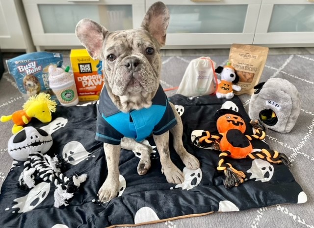 No tricks, but here’s a treat! 🎃 We gave away custom-made Amazon driver uniform Halloween costumes to some of the youngest and furriest driver superfans across the U.S. Meet our awesome human and canine winners. amzn.to/3sI788d