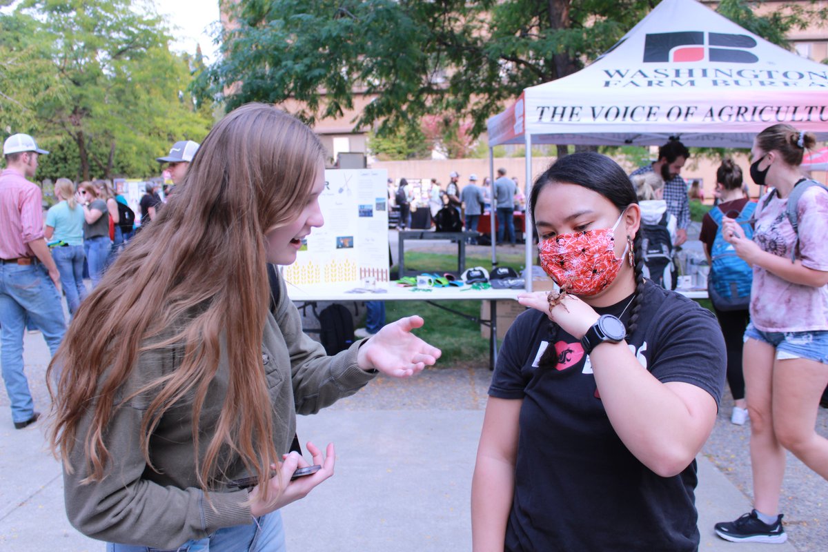 Stop by our website and check out October's Student Spotlight featuring Dowen Jocson #Entomology #WSU #GoCougs