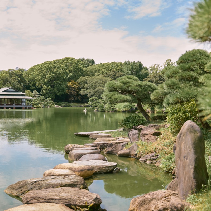 BBCStoryWorks's tweet photo. Unwind in Tokyo, where green oases meet bustling cityscapes. #Ad paid and presented by Tokyo Metropolitan Government