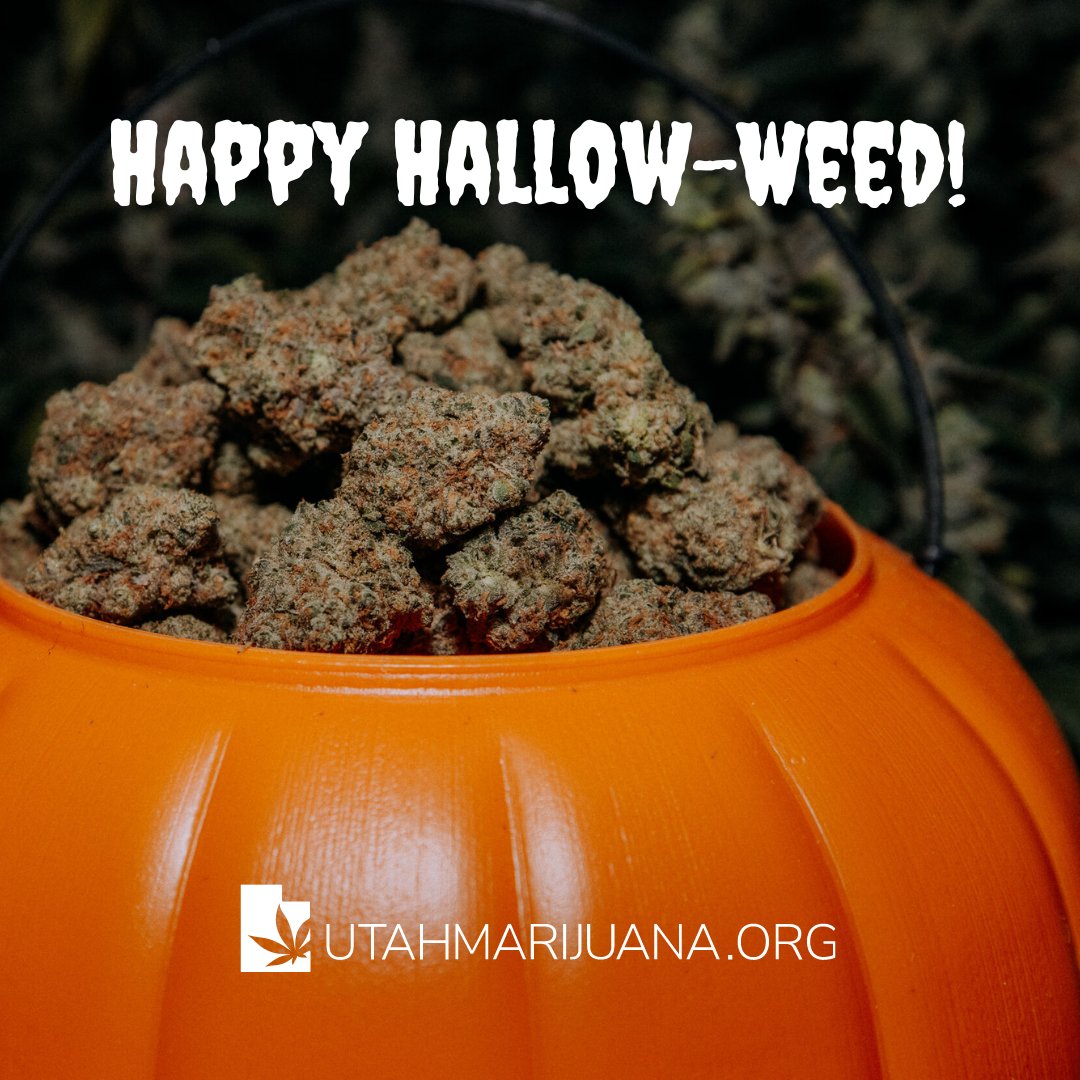 utmmj_org's tweet photo. Whether you're a Canna-Creature or a Danken-Stein, we hope you have a spooktacular Halloween! But if things get too scary, be sure to take some CBD to calm your nerves. What boo-tiful costume are you sporting tonight? 🎃🦇👻 https://t.co/Lrx14B7DFD