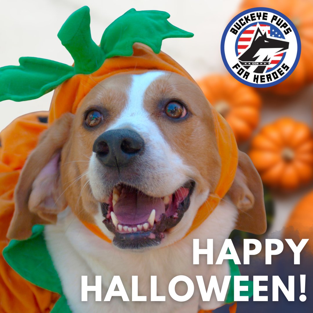 PupsBuckeye's tweet photo. We hope everyone has a safe and happy Halloween! 👻🎃
 
Remember to keep your pets safe by stashing away your candy and sweets. 
 
#HappyHalloween #BuckeyePupsForHeroes https://t.co/YkvTZ4cLCA