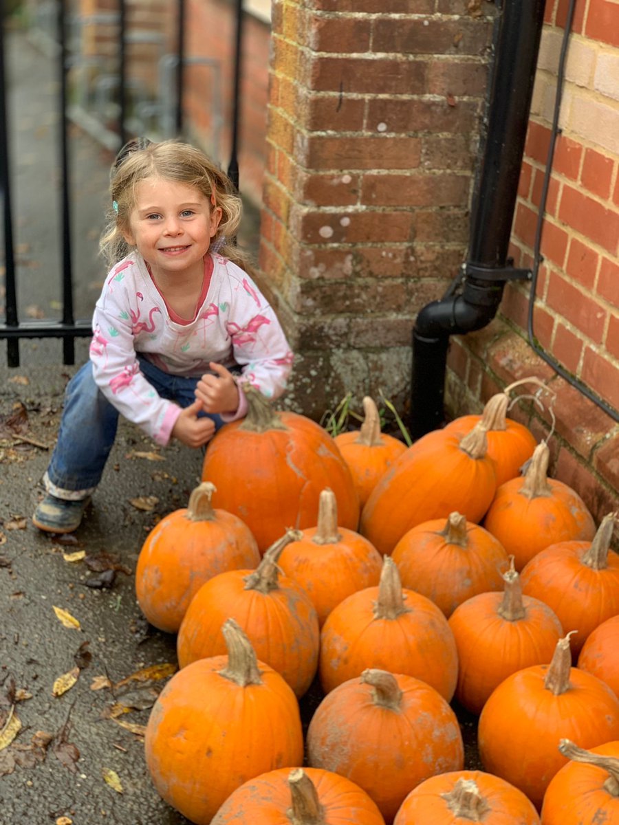 Frederick Hiam Ltd tweet media