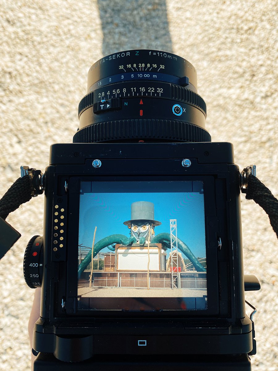 MarinMester's tweet image. happy halloween frens 🎃 👻