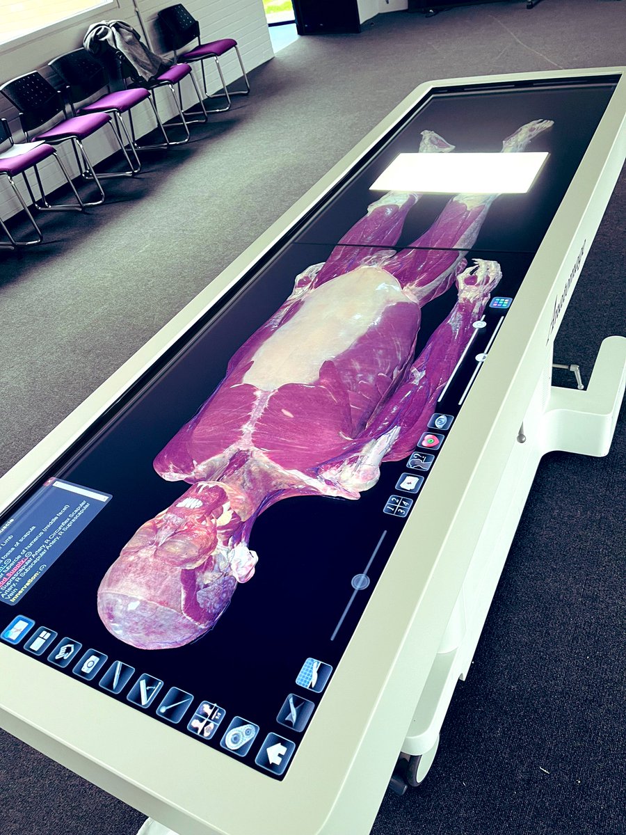 ashjamesphysio's tweet photo. Brilliant day @GlyndwrUni with @motivationalmad & the rest of the team
Really engaged group of 1st years with some great facilities to work with inc. the #Simbulance coupled with simulation hospital wards & interactive anatomy table
Awesome examples of MDT working too! #Diolch https://t.co/I654uHmcUz