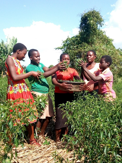 VEDCOUG's tweet photo. VEDCO impacts youths and young girls under the Working Future Project in Partnership with Plan Uganda and NORAD in Kamuli District https://t.co/onPXW3tIuF