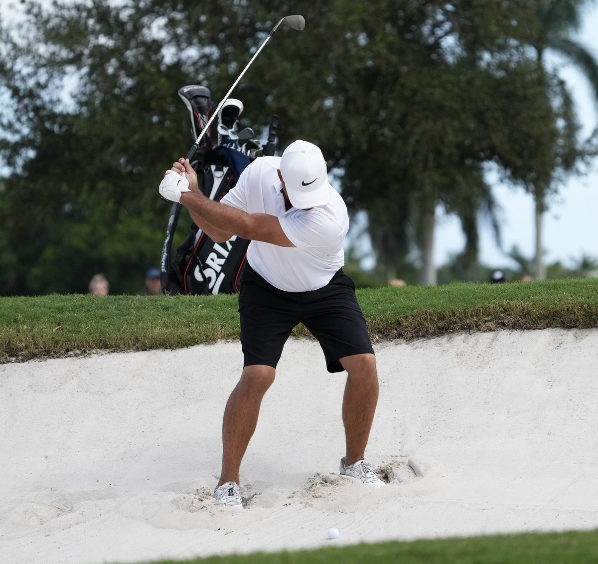 Caddie Network tweet media