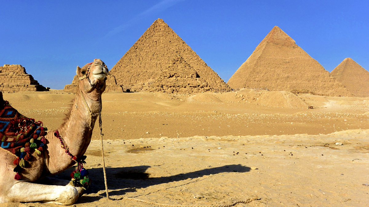 Mapatours's tweet photo. Conoce la magia de #Egipto en invierno.

Te proponemos nuestro programa “Egipto esencial”: 

➡️ Circuito de 8 días desde 949 € por persona.
✈️ Salidas lunes y sábados del 7 de noviembre al 12 de diciembre desde #Madrid.

Reserva ya en #agenciasdeviajes. 

#MapaTours #viajes https://t.co/pGK4tQajo6