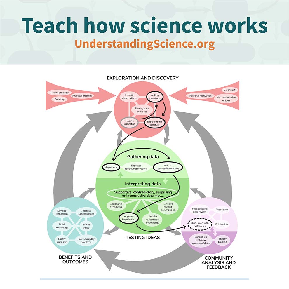 BIOINTERACTIVE's tweet photo. Find out how science really works! Our friends at Understanding Science just launched a new website packed with in-depth stories, interactives, and more. Check it out at https://t.co/0D1kA3nmP6 
@undrstndscience https://t.co/zB3NNohBhg