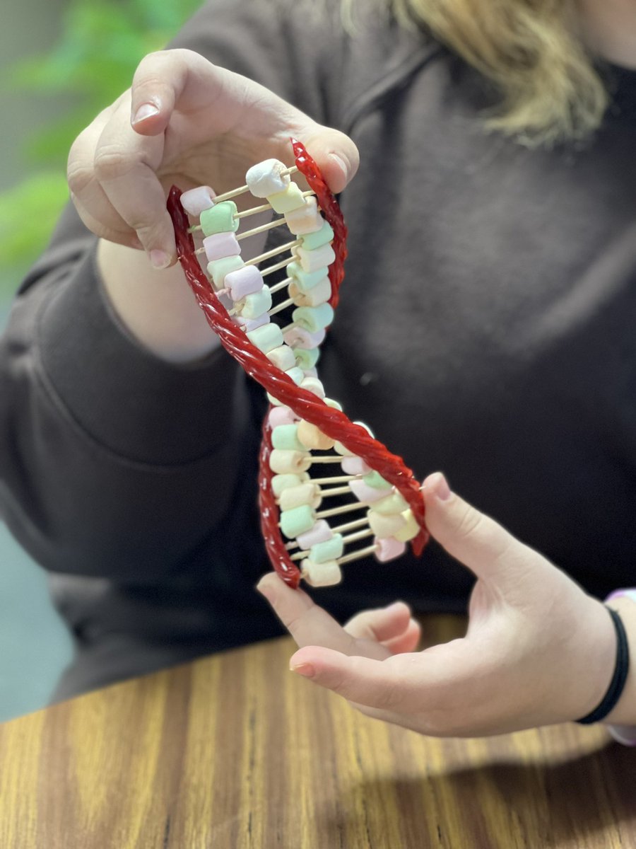 DebraFaber6's tweet photo. Understanding DNA #applesinthetrees #carinthegarage https://t.co/tEobBEkhXd