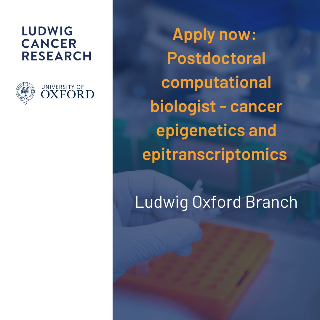 Ludwig Cancer (@ludwig_cancer) on Twitter photo Postdoctoral Computational Biologist position available in Parinaz Mehdipour’s group in cancer epigenetics and epitranscriptomics at Ludwig <a href="/UniofOxford/">University of Oxford</a>. Apply by November 23 bit.ly/3DC44Az Postdoctoral Computational Biologist position available in Parinaz Mehdipour’s group in cancer epigenetics and epitranscriptomics at Ludwig <a href="/UniofOxford/">University of Oxford</a>. Apply by November 23 bit.ly/3DC44Az
