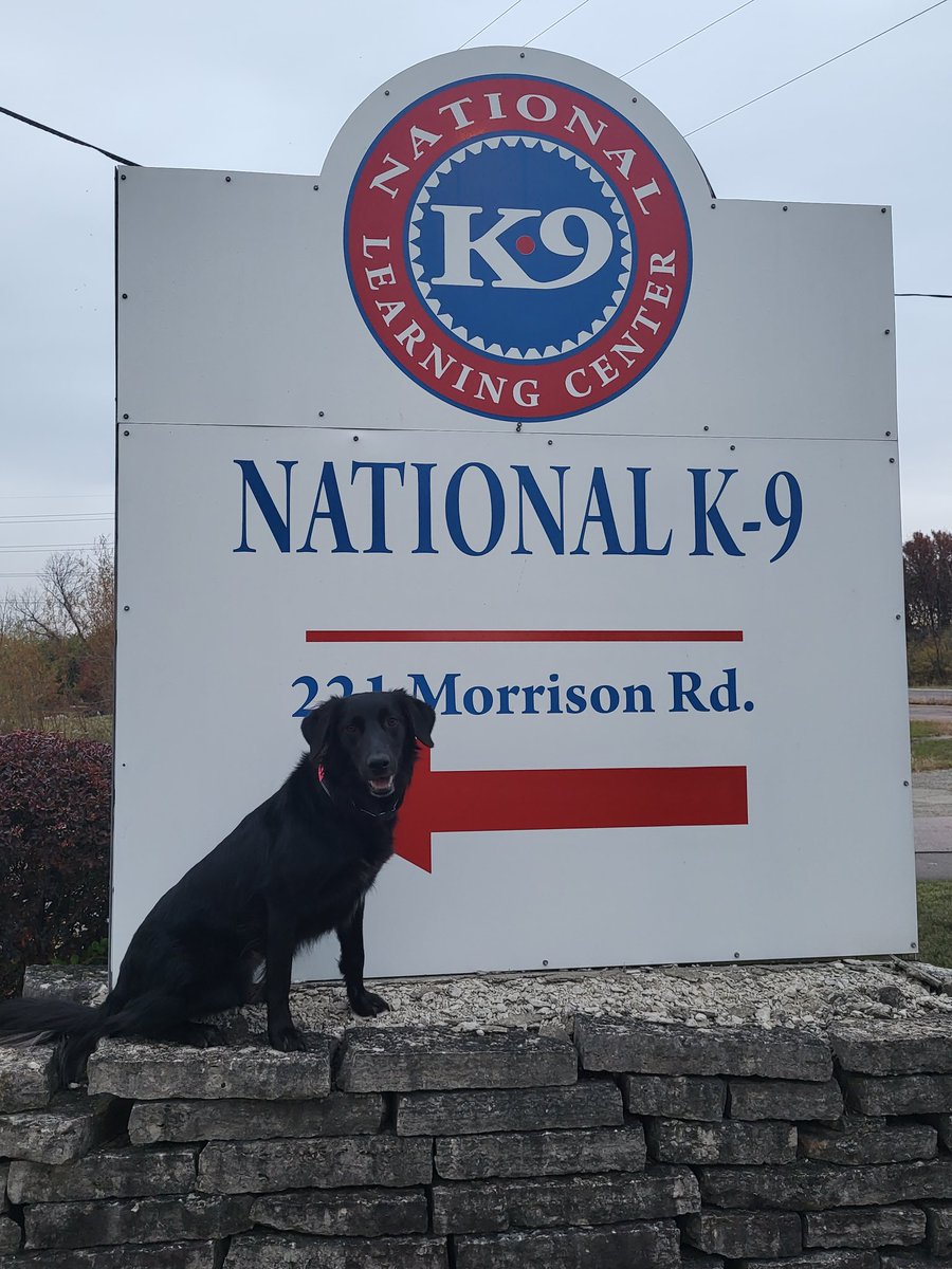 I am in Columbus, OH for the week the National K9 Learning Center.  #K9 #policek9 #therapyk9 #dilworthpolice #mnpolice