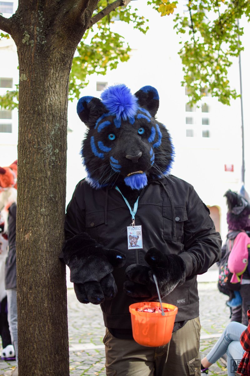 TharoCZ's tweet photo. Trick or Treat
#Halloween #Halloween2022 #furry #fursuit #fursuiting #fursuiter https://t.co/3cFbsmOFzK