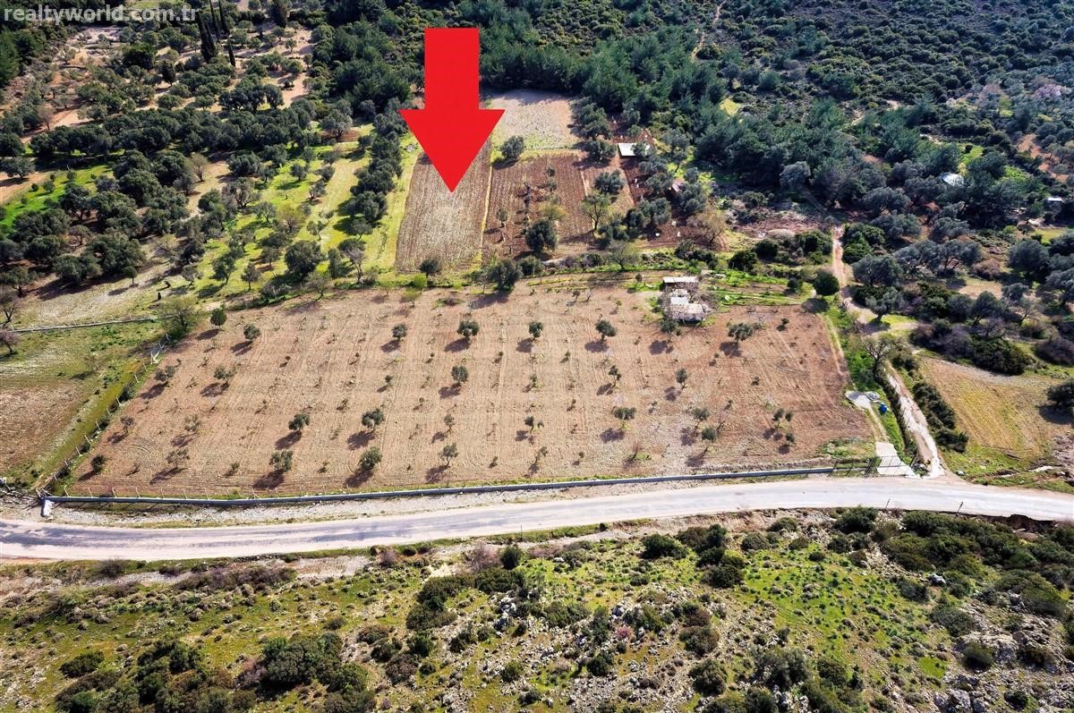 projecttrcom's tweet photo. Land for sale, Unnamed Road, in Zeytineli, Turkey
 📌Urla, Izmir

URLA ZEYTİNELİ 3945 M2 FIELD OLIVE IS THE RAPIDLY DEVELOPING REGION THAT CAME ..

https://t.co/pUwVQddWx1

#urla #izmir #urlaland #izmirland #izmirpropertyforsale #propertyizmir #turkey #projectturkey #agriculture https://t.co/xNqLl7onSF