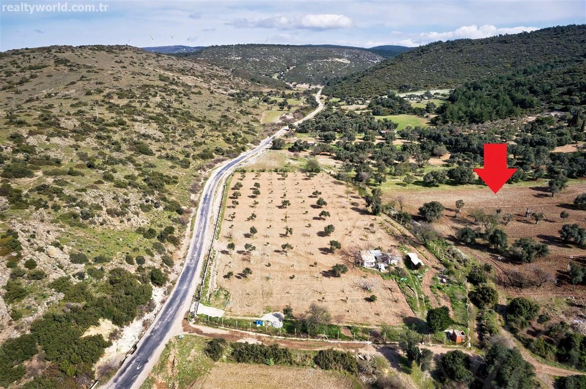 projecttrcom's tweet photo. Land for sale, Unnamed Road, in Zeytineli, Turkey
 📌Urla, Izmir

URLA ZEYTİNELİ 3945 M2 FIELD OLIVE IS THE RAPIDLY DEVELOPING REGION THAT CAME ..

https://t.co/pUwVQddWx1

#urla #izmir #urlaland #izmirland #izmirpropertyforsale #propertyizmir #turkey #projectturkey #agriculture https://t.co/xNqLl7onSF