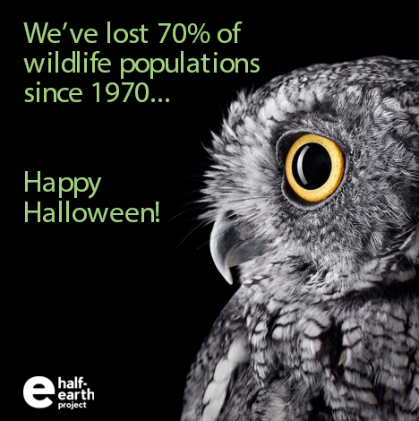 EOWBF's tweet photo. https://t.co/EUDS7f9PXr