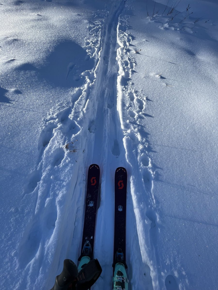 kaytool's tweet image. I love living in a place where I can ski in the morning and mountain bike in the afternoon, esp with my fellow @huntsmancancer grad students @gabriela_fort @Pengshulio! @UUtah @NeliMUlrich