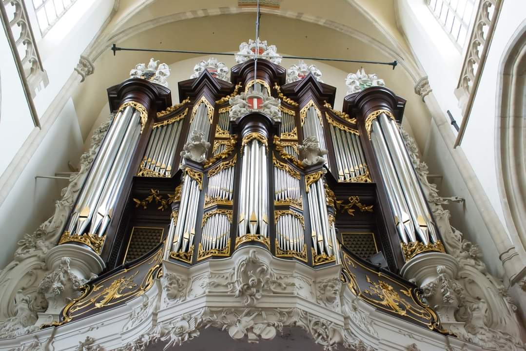 CorArdesch's tweet photo. Stadsconcert 12 november, 16.00 uur,

Met werken van Post, Matter, Welmers en Vierne.
Zie voor het complete programma https://t.co/U7OEjywQ0F

De toegang is gratis, wel is er een collecte aan de uitgang. https://t.co/dlfD6pzQ78