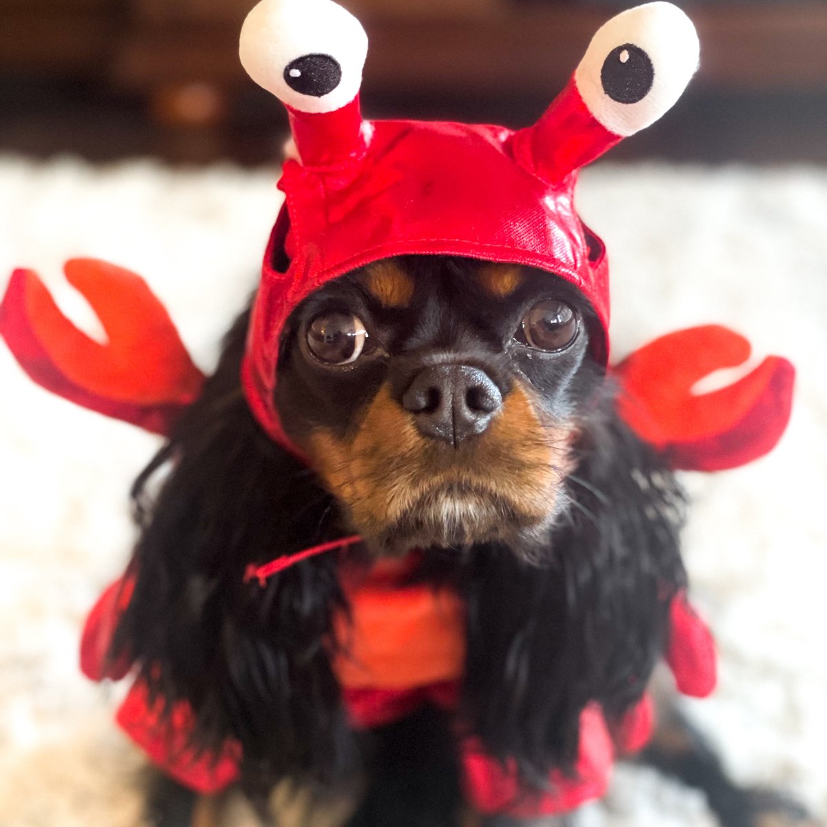 MatrixPartners_'s tweet photo. Hey there, boo-tiful 👻! We hope you’re creepin’ it real this Halloween 🎃💜. https://t.co/LgOpYtrtz4