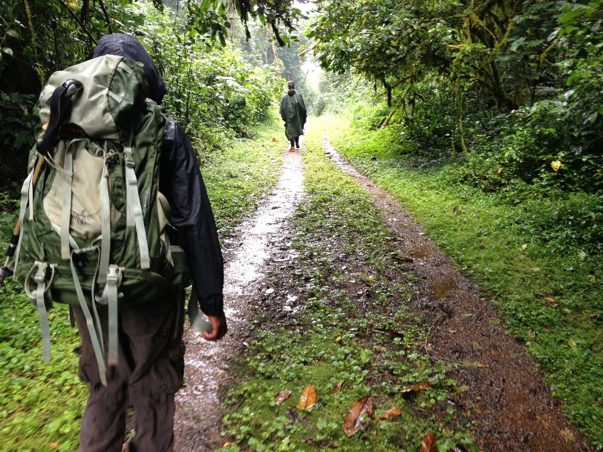 "60 Minutes" in Uganda investigating pathogens related to corona virus. Crew flew to Kihihi and onto Bwindi and <a href="/bwindihospital/">Bwindi Community Hospital</a> 
cbsnews.com/news/pandemic-… #impenetrableforest #virus #research #Uganda #Africa