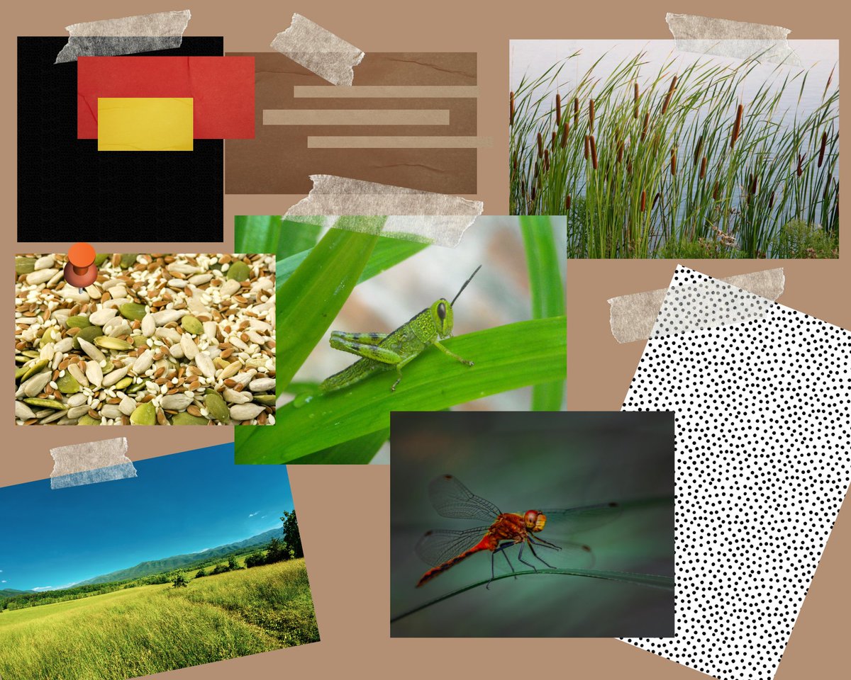 I'm starting a new project--"mood board birds." Each one is what I imagine a Gen X teen version of a given species would make for a bedroom wall collage. Here's the first one; can you tell who the bird is?