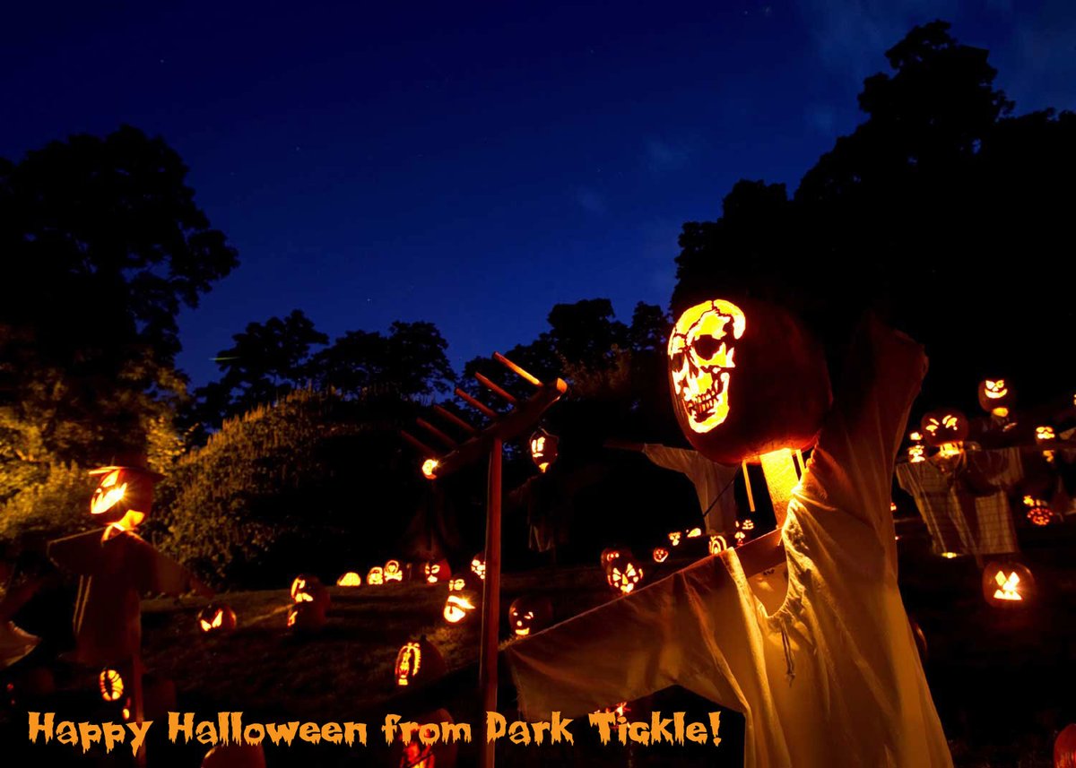 Happy Halloween from Dark Tickle! Halloween sale @ darktickle.com ! #CreepingItReal #HereForTheBoos #Halloween #TrickOrTreat #darktickle #wildberries #wildfood #tea #preserves #coffee #naturalproducts #chocolate #drinks #icecream #exploreNL