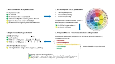 FranBermudz's tweet photo. How to… conduct genetic testing for patients with #DCM by @roddywalsh #ESCGenomics @escardio 

Impact on clinical management
✅Confirming diagnosis
✅Focused family cascade screening
✅Prognostic and therapeutic implications
✅Reproductive planning

https://t.co/sUYv2zs8Ti https://t.co/8CgIoKFK8G