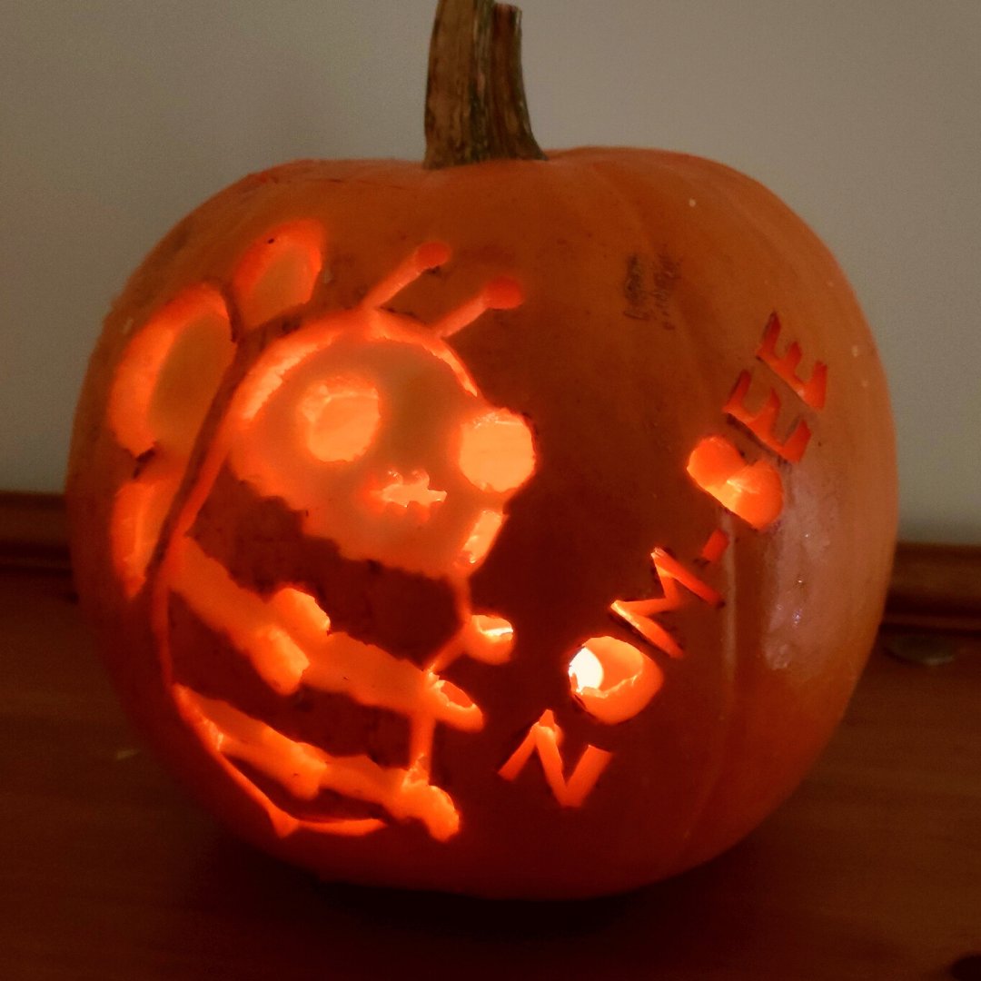 BumblebeeTrust's tweet photo. What do you call a bumblebee that has returned from the dead? ๐๐ง
๐ This crafty creation comes from our very own Conservation Officer, Katy Malone. Have you carved a wicked wildlife-themed pumpkin this year? Share your spoOoOoky pumpkin art below๐๐ท
#Halloween #Zombee https://t.co/MUELuZ7Xmj