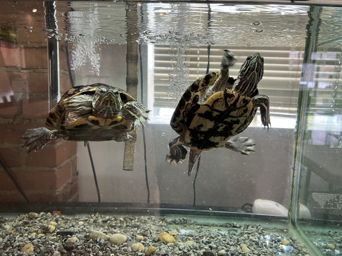 SLC CURB tweet media