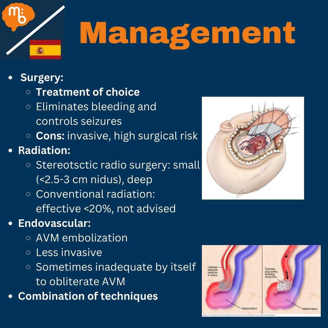 Mission:Brain Complutense tweet media