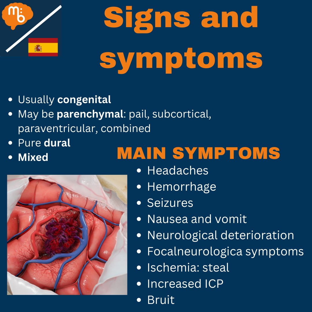 Mission:Brain Complutense tweet media