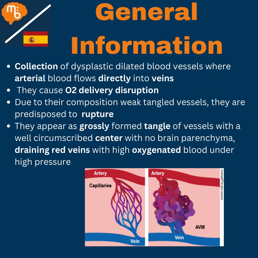Mission:Brain Complutense tweet media