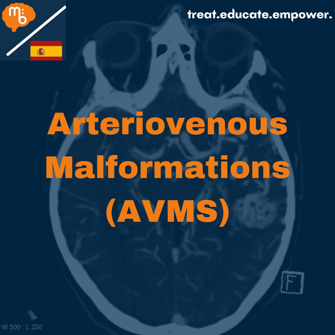 Mission:Brain Complutense tweet media