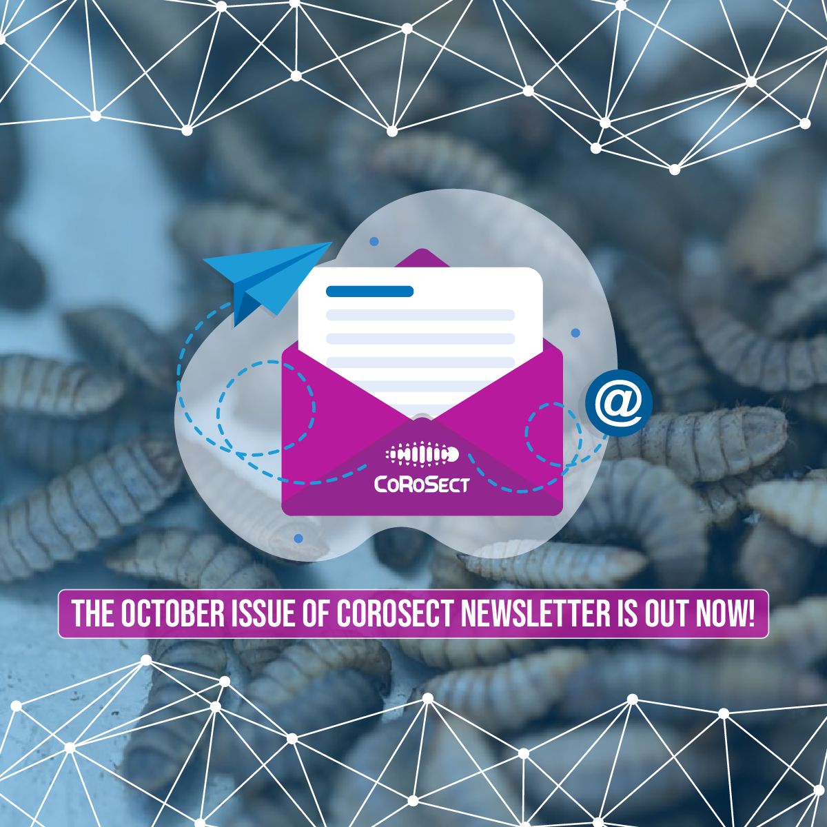CoRoSect's tweet photo. 📣 The October 2022 edition of the CoRoSect's #Newsletter is out now! 📨

Don't miss a chance to explore possibilities of working together towards robotics-enabled #insectfarms. 🦾

Check out the newsletter and don't forget to subscribe 👉https://t.co/YO51ws4Pl1 🌐 https://t.co/F5LrboyFHF