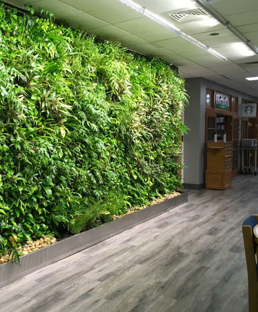 Happy Halloween! You might already be aware that we're experts in costumes. Who else can disguise bland roofs into vibrant gardens of life.. or empty walls into rainforests of lush greenery? Let's put a green mask on your next build.